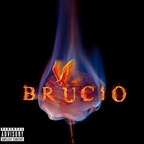 Brucio | Boomplay Music