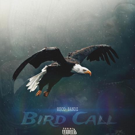 Bird Call | Boomplay Music