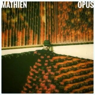 Opus