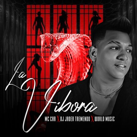 La Vibora ft. DJ Jader Tremendo | Boomplay Music