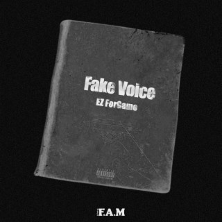 Fake Voice lyrics | Boomplay Music