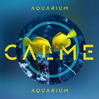 Aquarium calme: Sons sous-marine pour relaxation, Étude, Dormir (Bruit blanc aquatique)
