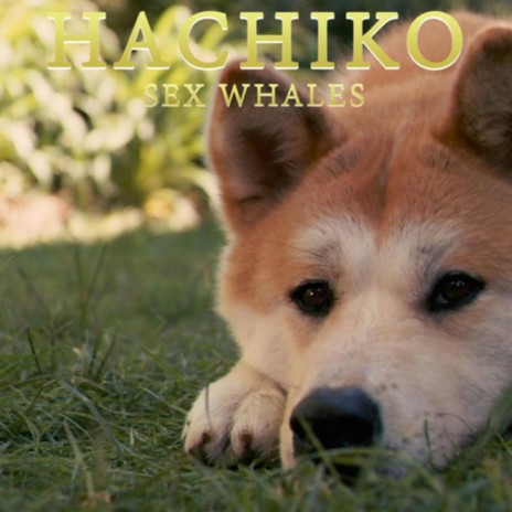 Hachiko | Boomplay Music