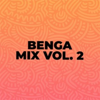Benga Mix Vol. 2