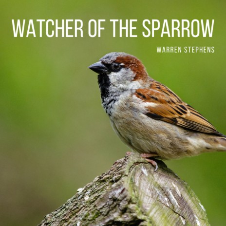 Watcher of the Sparrow | Boomplay Music