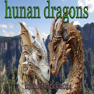 hunan dragons