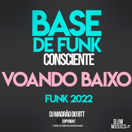 Voando Baixo - Base de Funk Consciente | Boomplay Music