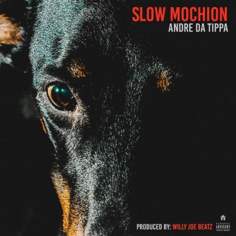 Slow Mochion | Boomplay Music