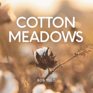 Cotton Meadows