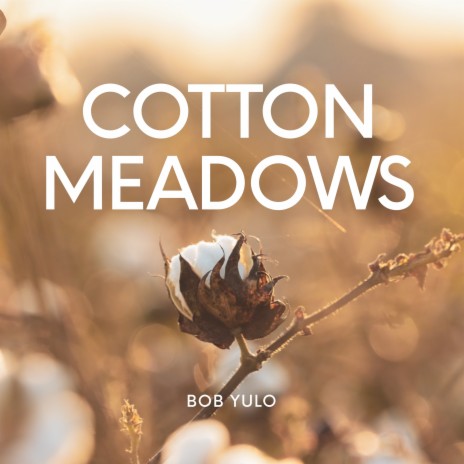 Cotton Meadows | Boomplay Music