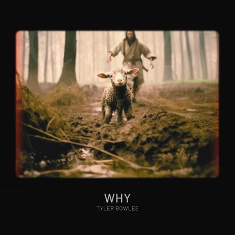 Why | Boomplay Music