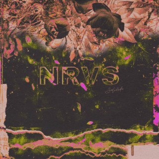 NRVS