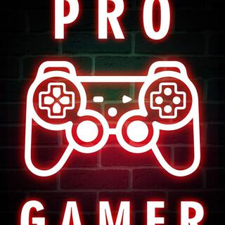 Pro gamer