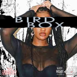 Bird Box (Instrumental)