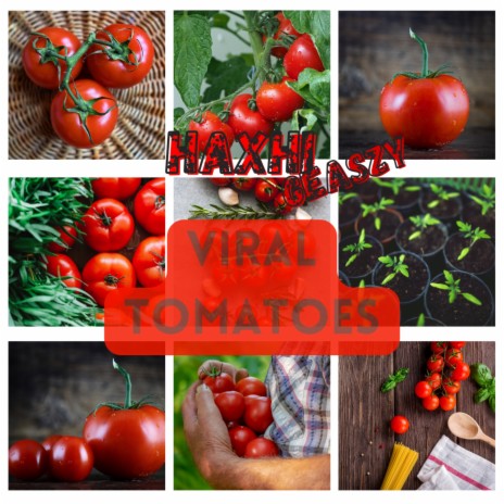 Viral Tomatoes | Boomplay Music