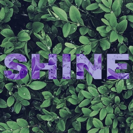 Shine | Boomplay Music