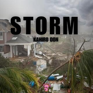 Storm (Radio Edit)