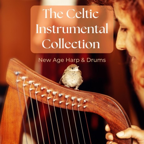 Celtic Harp Rhythms