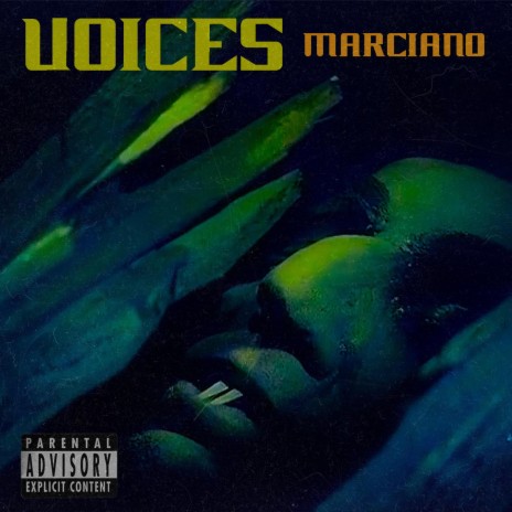 voices