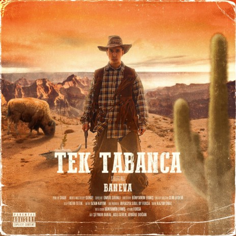 Tek Tabanca | Boomplay Music