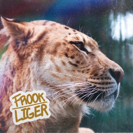 Liger | Boomplay Music