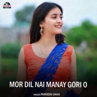 Mor Dil Nai Manay Gori O