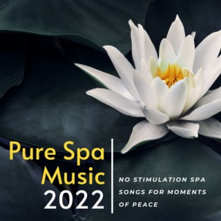 Pure Spa Music 2022: No Stimulation Spa Songs for Moments of Peace