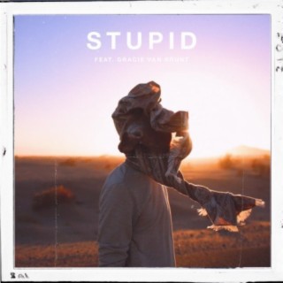 Stupid (feat. Gracie Van Brunt)