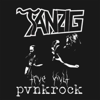 trve kvlt pvnkrock