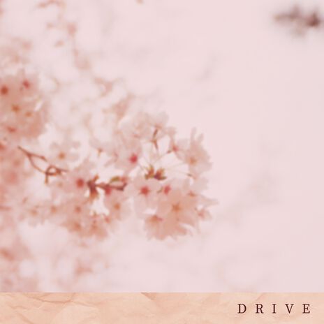 Drive ft. Veela | Boomplay Music