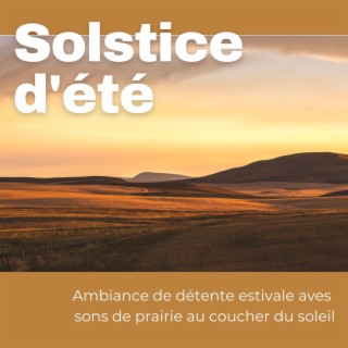 Solstice d'été: Ambiance de détente estivale aves sons de prairie au coucher du soleil