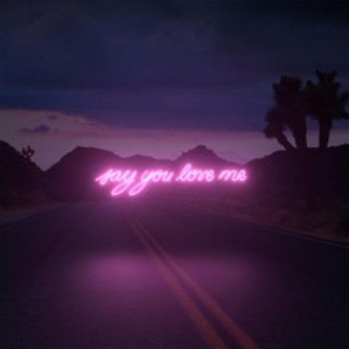 Say You Love Me (feat. Bonnie Anderson)