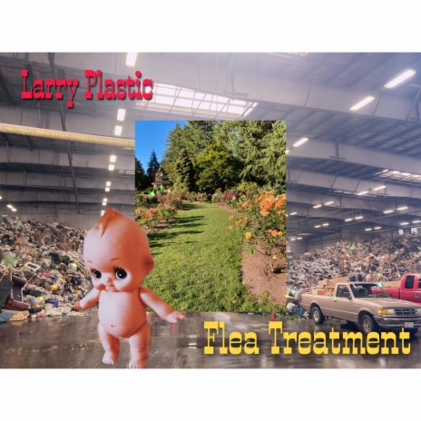 Flea Treatment | Boomplay Music