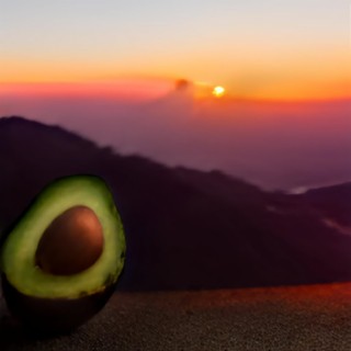 avocado