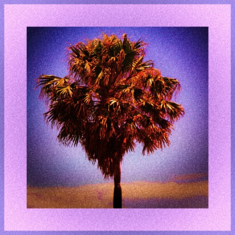 Lone Palm Mixtape | Boomplay Music