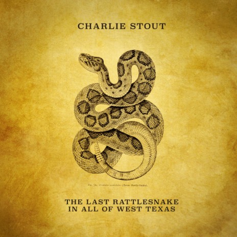 The Last Rattlesnake in All of West Texas | Boomplay Music