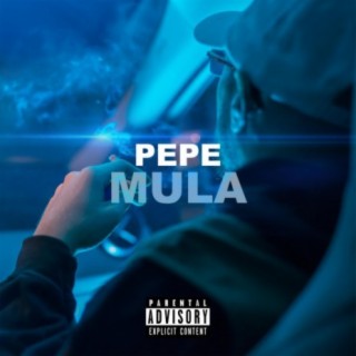 Mula