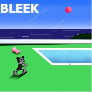 Bleek