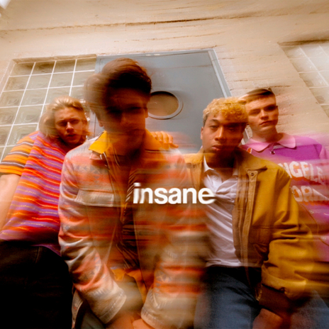 Insane | Boomplay Music