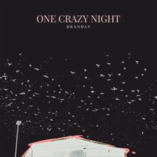 One Crazy Night