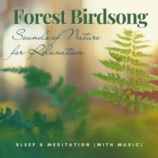 Forest Birdsong: Sounds of Nature for Relaxation, Sleep & Meditation (With Music)