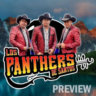 Los Panthers de Santos