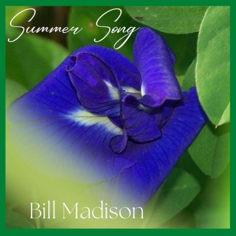 Summer Song | Boomplay Music