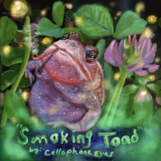 Smoking Toad