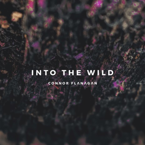Into the Wild (feat. Robbie Madison)