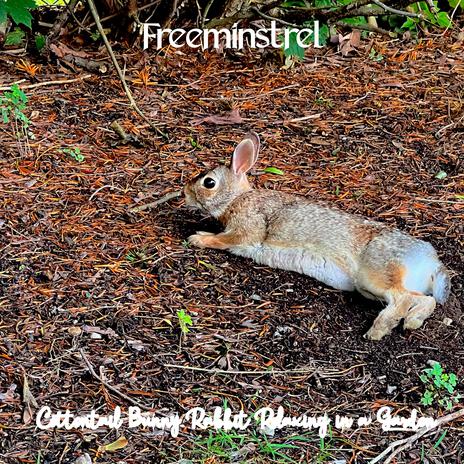 Cottontail Bunny Rabbit Relaxing in a Garden (Instrumental Acoustic Classical Guitar Version)