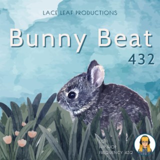 Bunny Beat 432