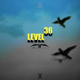 Level 36