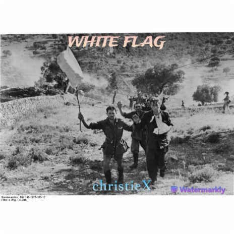 white flag | Boomplay Music