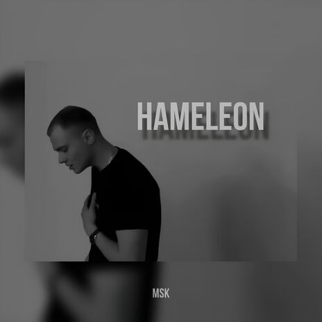 Hameleon | Boomplay Music